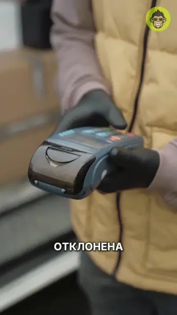 Кадр из ролика, собранного Monty